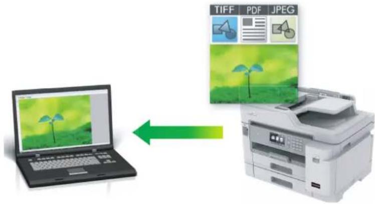 TIFF PDF JPEG ←