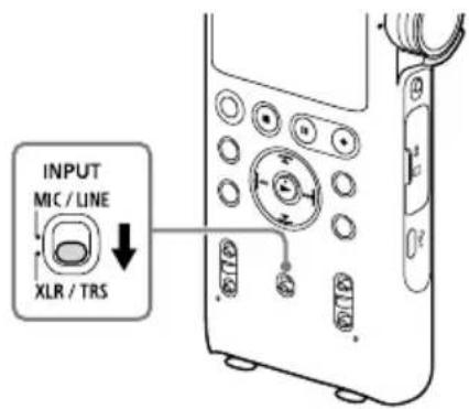 INPUT MIC / LINE XLR / TRS