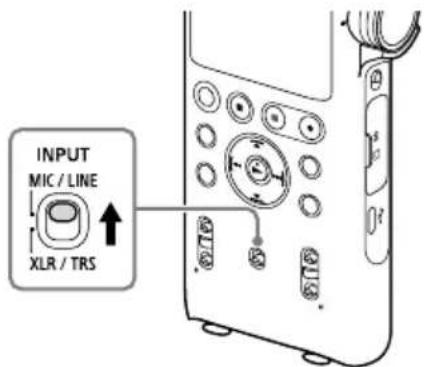 INPUT MIC / LINE XLR / TRS