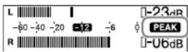 SONY PCM-D10 - Setting the Peak Hold function - 1