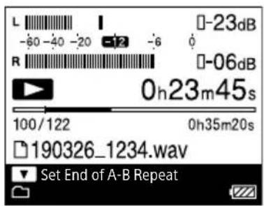 L -80 -40 -20 -12 -6 0 R -06dB 0h23m45s 100/122 0h35m20s 190326_1234.wav Set End of A-B Repeat