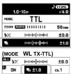 1.0-10n TIME F4.0 MODE TTL 200M AUTO 50mm ±0.0 ±1.0 (MODE WL TX-TTL) DEL ±0.0 ON ±1.0 cs.1