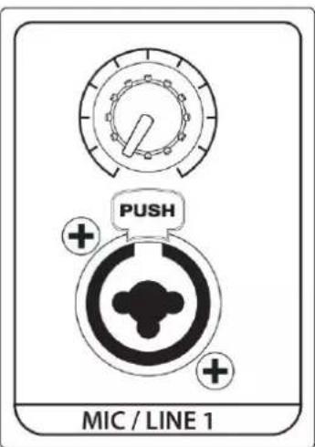 PUSH MIC / LINE 1