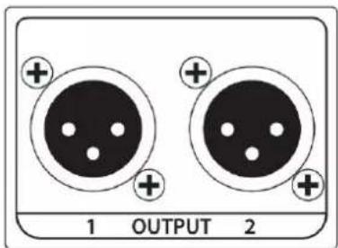 1 OUTPUT 2