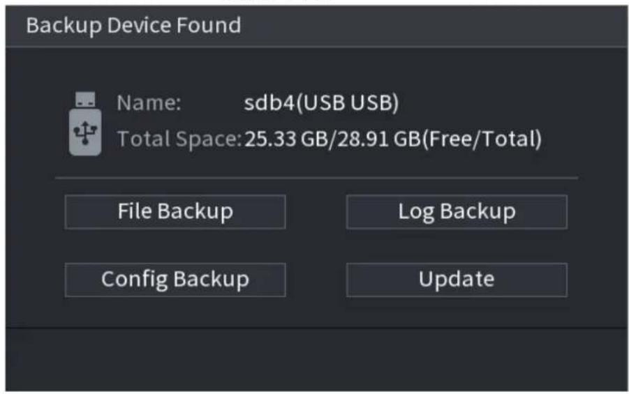 Dahua Technology NVR2104/2108-4KS2 - USB Device Auto Pop-up - 2