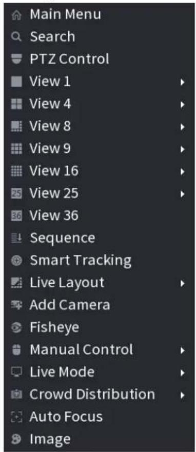 Dahua Technology NVR2104/2108-4KS2 - Right-Click Menu - 2
