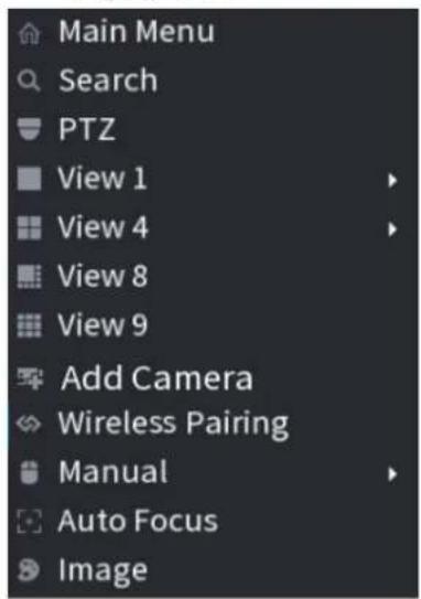 Dahua Technology NVR2104/2108-4KS2 - Right-Click Menu - 3