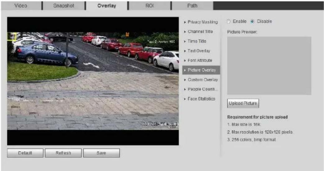 Dahua Technology IPC-HDBW3541R-ZAS - Configure Picture Overlay - 2