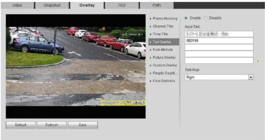 Dahua Technology IPC-HDBW3541R-ZAS - Configure Text Overlay - 2