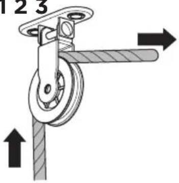 123 ↑
