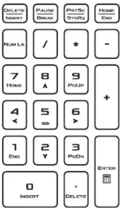 DELETE INSERT PAUSE BREAK PRTSC SYSRQ HOME END NUM LK / * - 7 HOME 8 A 9 PoUP + 4 < 5 0 6 > 1 END 2 Y 3 PoDN ENTER 0 INSERT . DELETE
