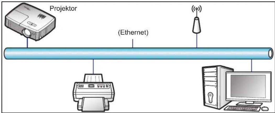 Projektor (Ethernet)