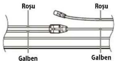 Roşu Roşu Galben Galben