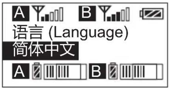 Comica CVM-WM300 - 系统语言选择 - 2