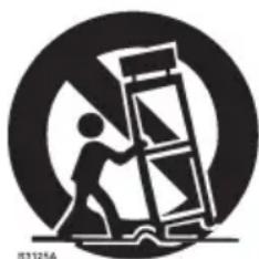 SAMSON Concert 288 - Informazioni di sicurezza importanti - 1