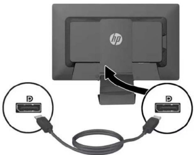 hp D D