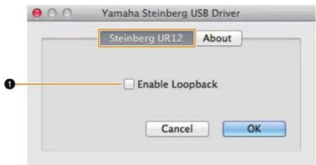 STEINBERG UR12 - Steinberg UR12 Window - 1