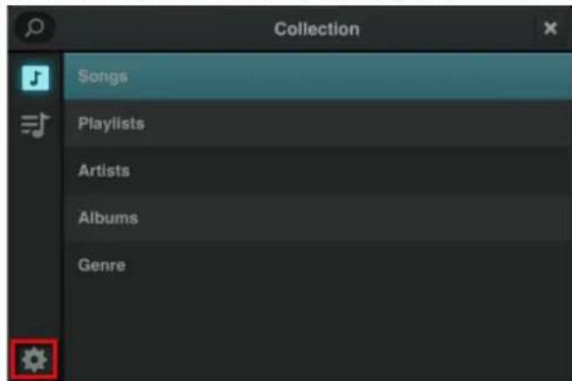 Collection Songs Playlists Artists Albums Genre