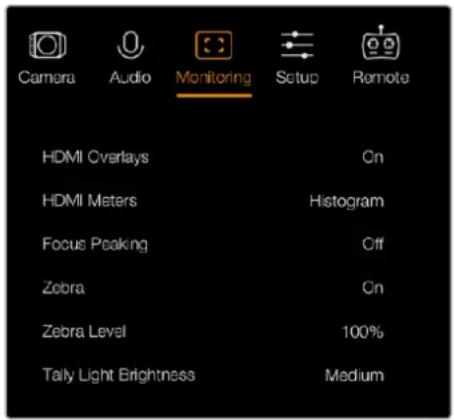 Camera Audio Monitoring Setup Remote HDMI Overlays Cn HDMI Meters Histogram Focus Peaking Off Zebra Cn Zebra Level 100% Tally Light Brightness Medium