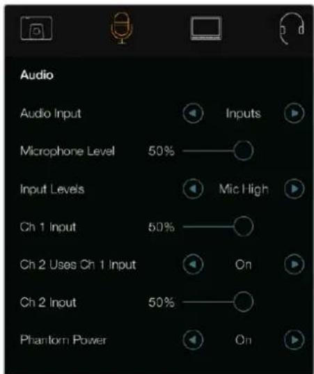 Audio Audio Input Microphone Level 50% Input Levels Ch 1 Input 50% Ch 2 Uses Ch 1 Input Ch 2 Input 50% Phantom Power Inputs Mic High On On
