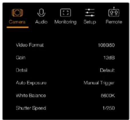 Camera Audio Monitoring Setup Remote Video Format 1080/50 Gain 12dB Detail Default Auto Exposure Manual Trigger White Balance 5600K Shutter Speed 1/250