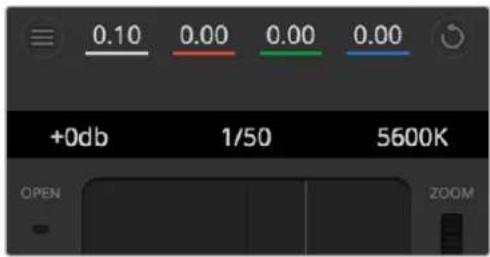 0.10 0.00 0.00 0.00 +0db 1/50 5600K OPEN ZOOM