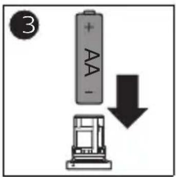 3 + AA - ↓