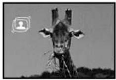 PANASONIC NV-VZ10ENC - Cancelling the Digital Effect - 1