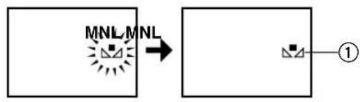 PANASONIC NV-VZ10ENC - Cancelling the 0 Lux Night View Function - 1
