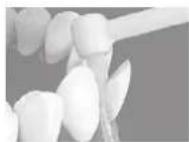 PANASONIC EW1313 - Para dientes torcidos - 1