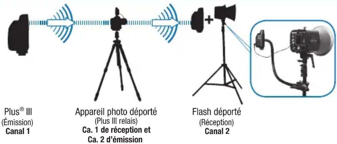 POCKETWIZARD Plus III - Auto-relais - 2