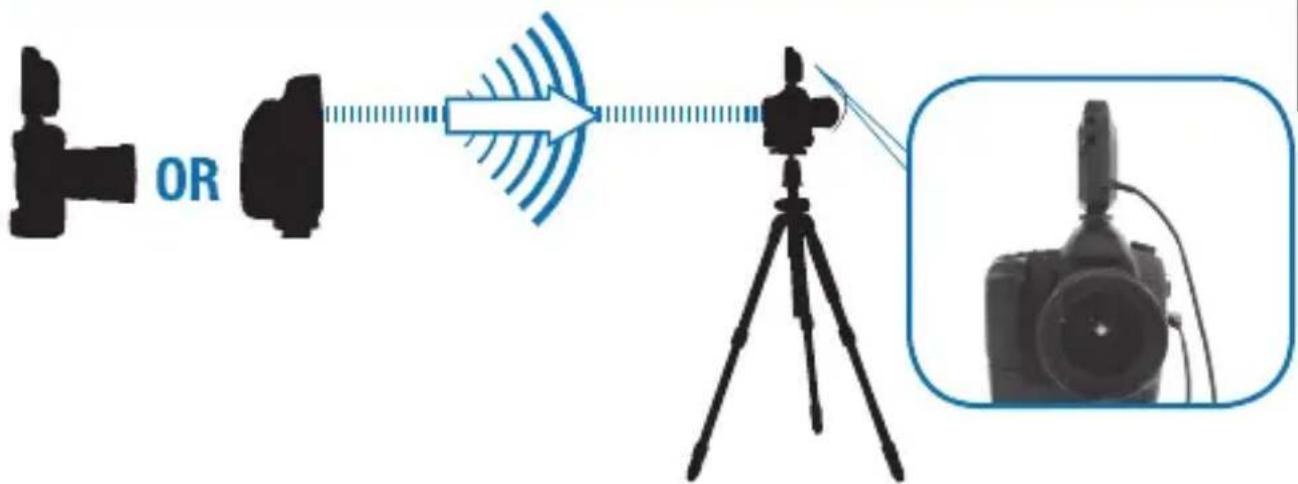 POCKETWIZARD Plus III - Remote Camera Triggering - 2