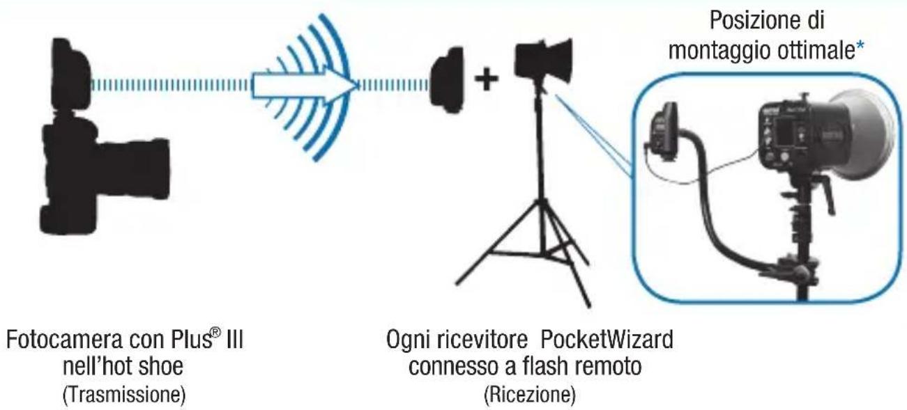 POCKETWIZARD Plus III - Attivazione flash remoto - 1