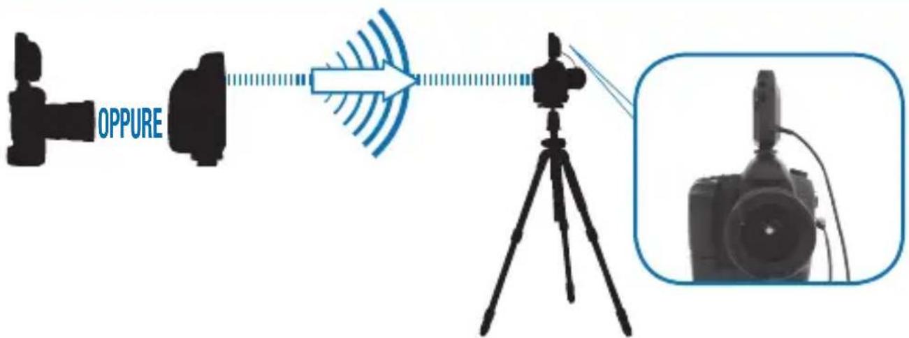 POCKETWIZARD Plus III - Attivazione fotocamera remota - 2