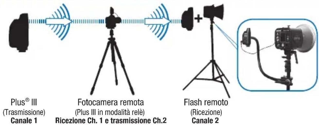 POCKETWIZARD Plus III - Modalità auto-relè - 2