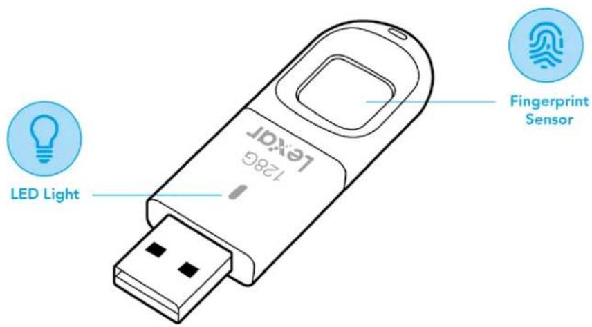 LED Light LEXAR 1286 Fingerprint Sensor