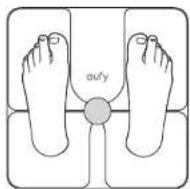 eufy Smart Scale P1 - Starting a Measurement - 2