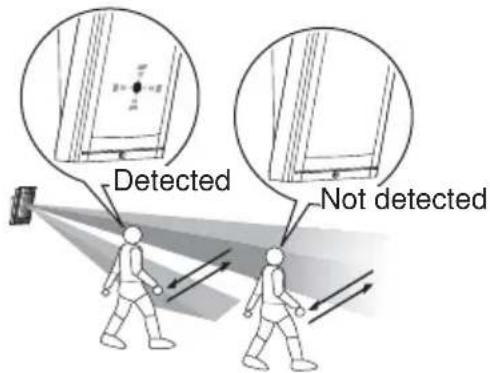 Detected Not detected