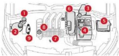 Diagram of car engine compartment with numbered parts for identification