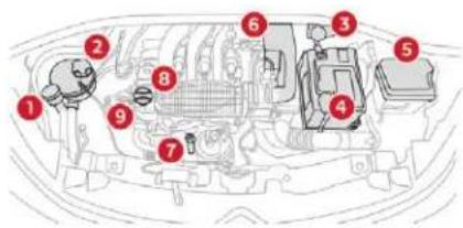 Diagram of automobile engine compartment with numbered parts for identification