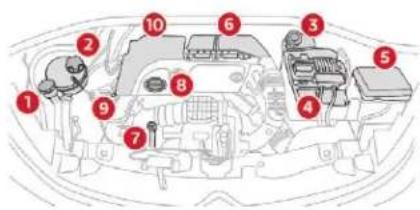 Diagram of automobile engine compartment with numbered parts for identification