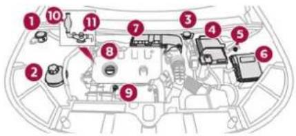 Diagram of car engine compartment with numbered parts for identification