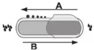 A B