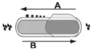 A B