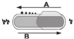 A B