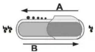 A B