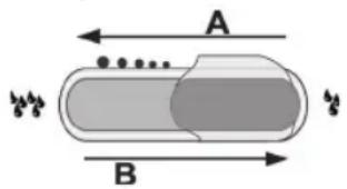 A B