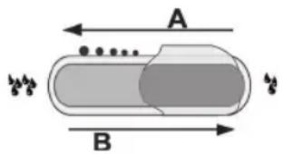 A B