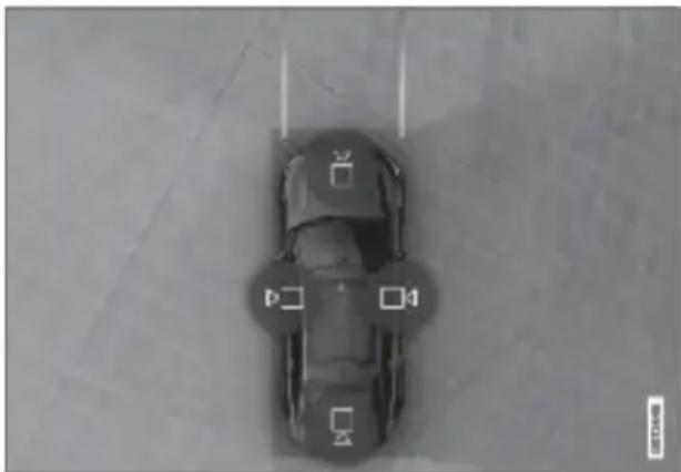 Polestar 2 - WARNING - 1