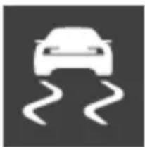 Polestar 2 - Electronic stability control - 1
